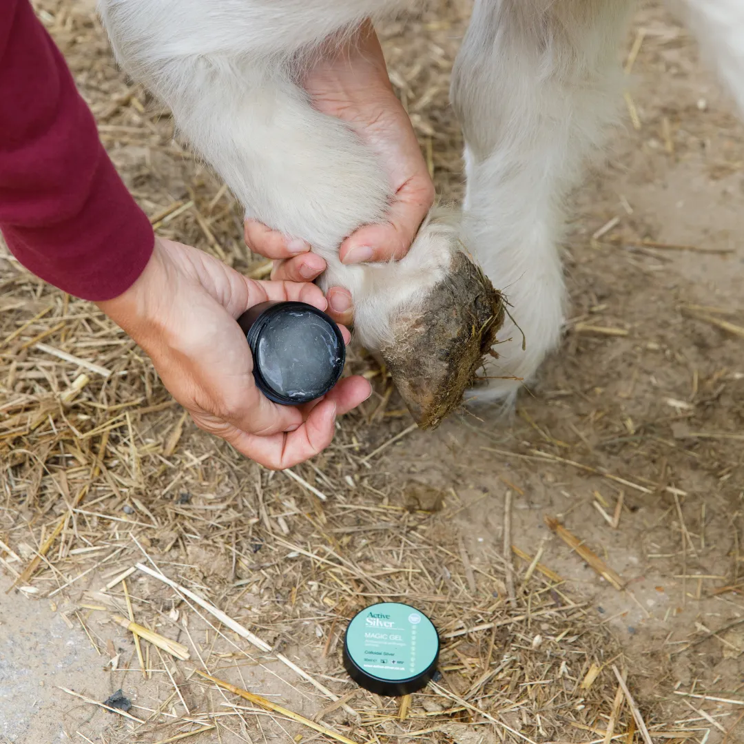 Animal Care Skin Care Kit