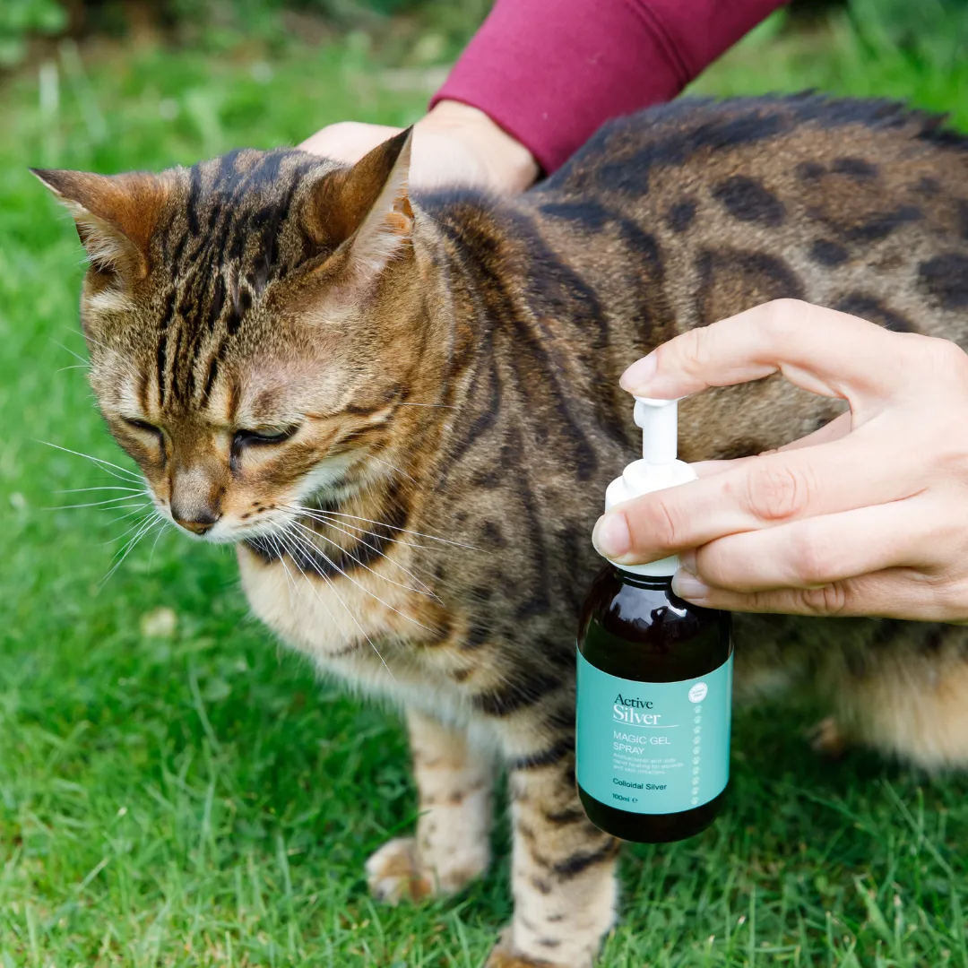 Animal Care Skin Care Kit