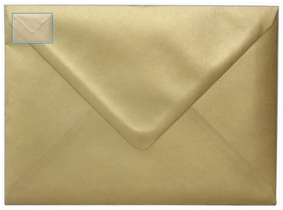 Animal Collection A6 Foiled Greeting Card Seal Happy Birthday