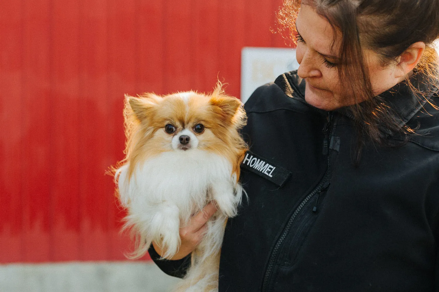Animal Protection Investigation Support