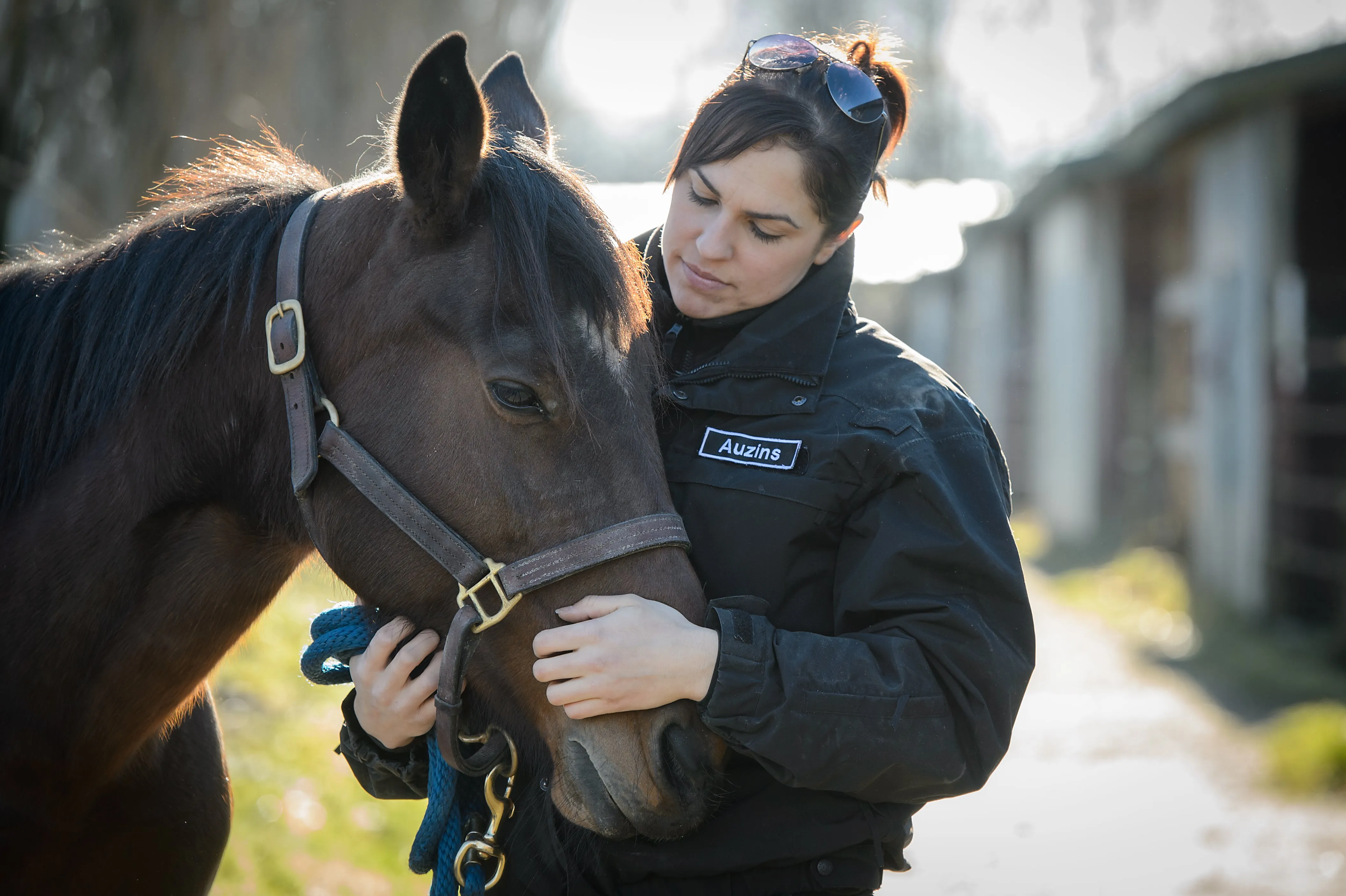 Animal Protection Investigation Support