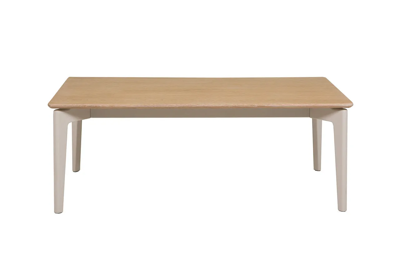 Evelyn Painted Coffee Table