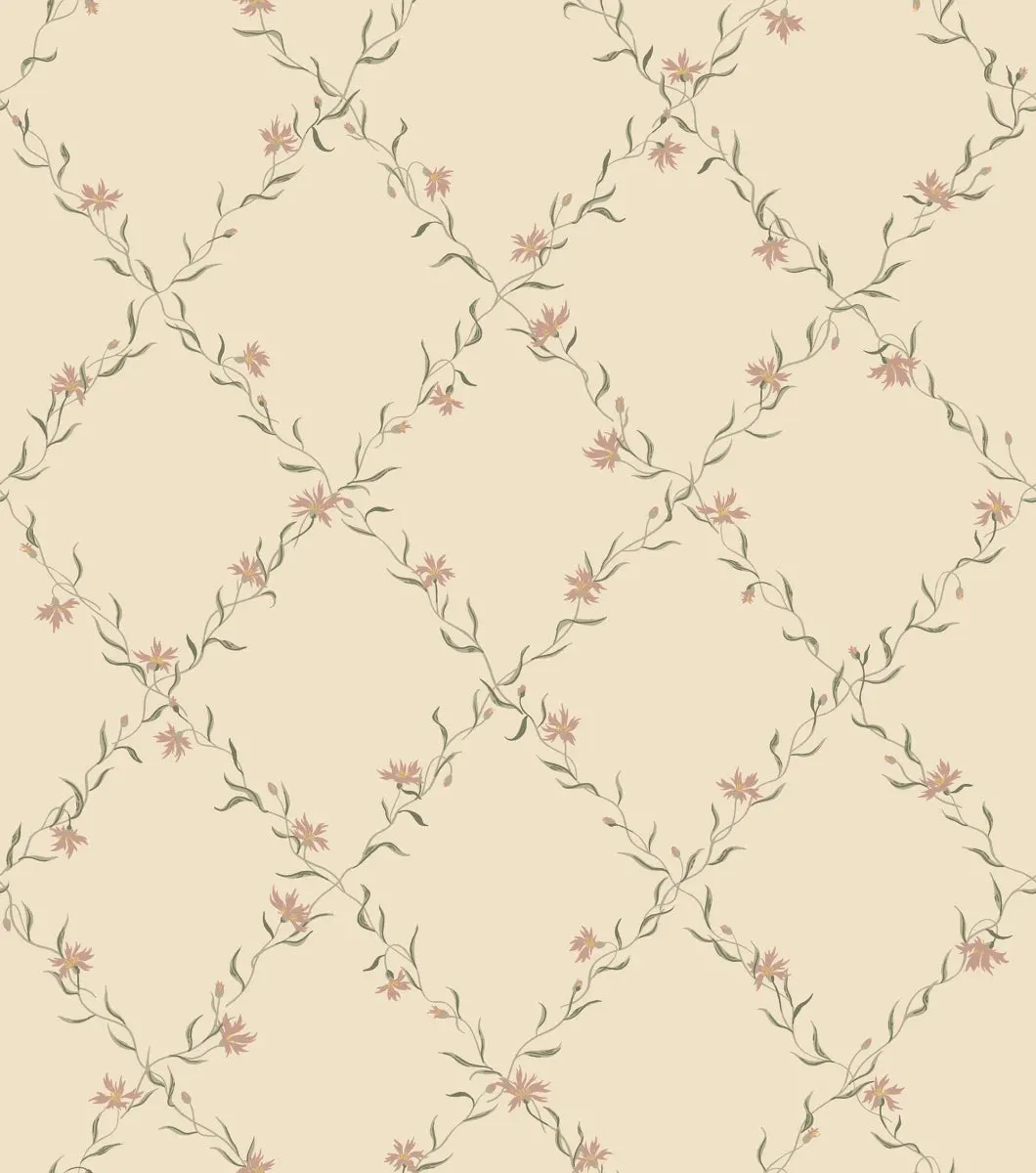 Ewa, Dusty Pink - S10458