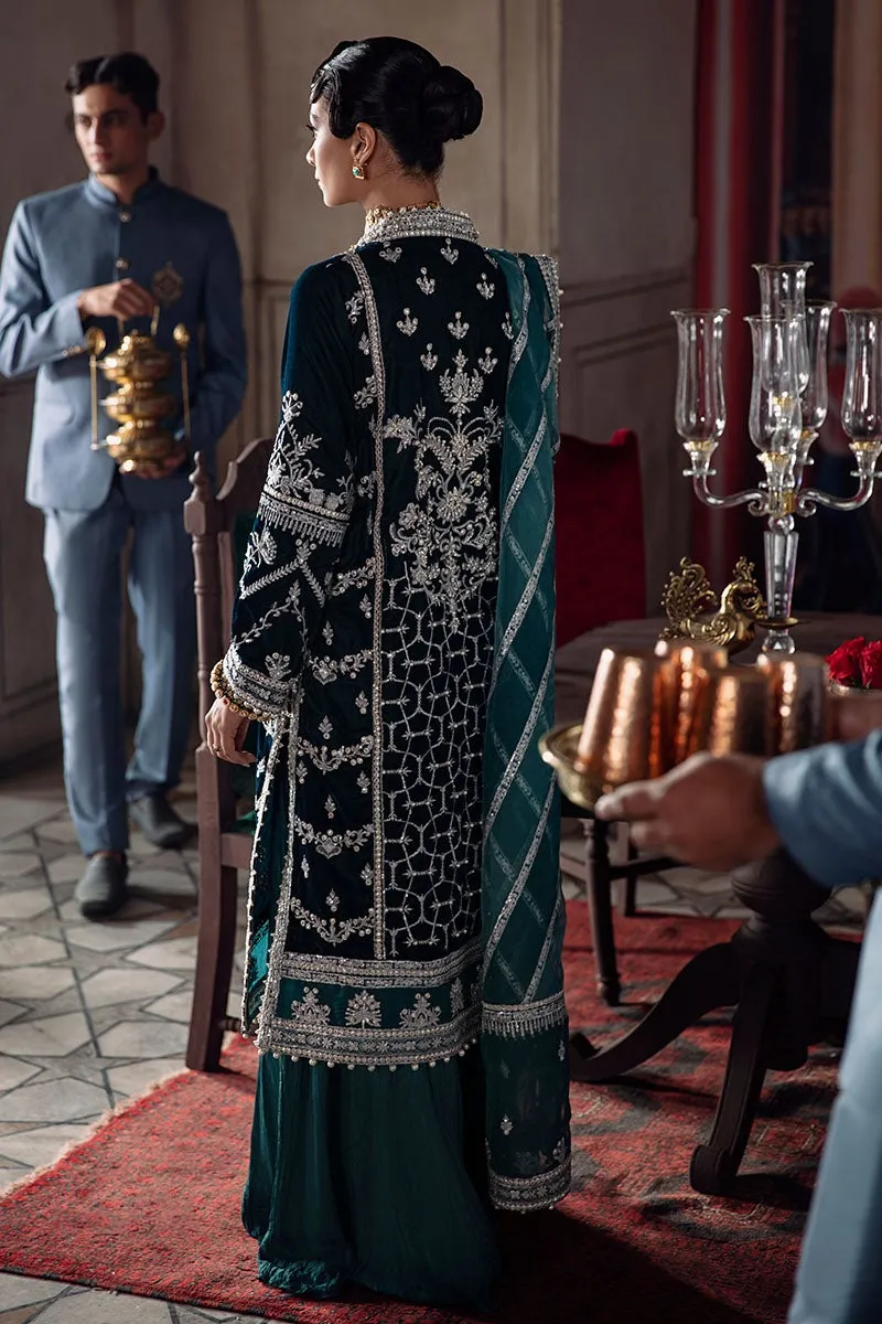 Mushq Tehzeeb Luxury Velvet Collection – Daneen