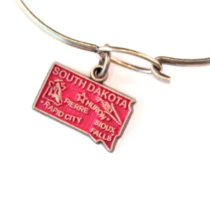 South Dakota State Love Charm Bracelet, Necklace, or Charm only