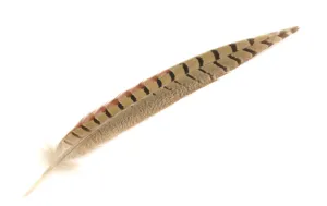 TAN/BROWN FEATHER