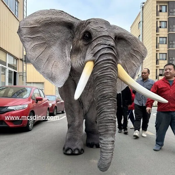 Upgraded Elephant Costume-DCEP004